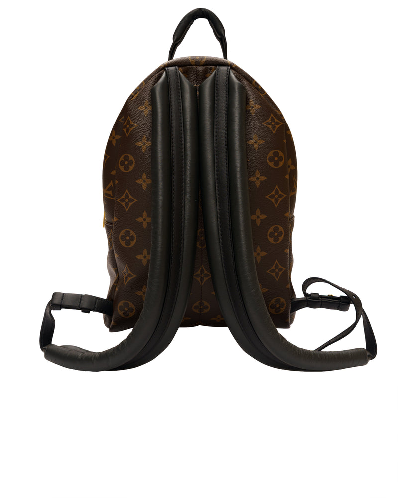 Louis Vuitton Palm Springs Mini Backpack, monogram thumbnail