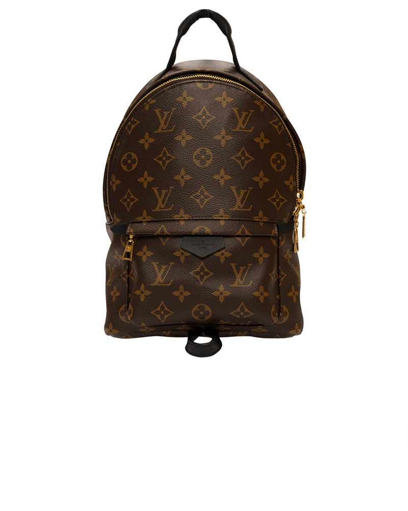 Louis Vuitton Palm Springs Mini Backpack, monogram thumbnail