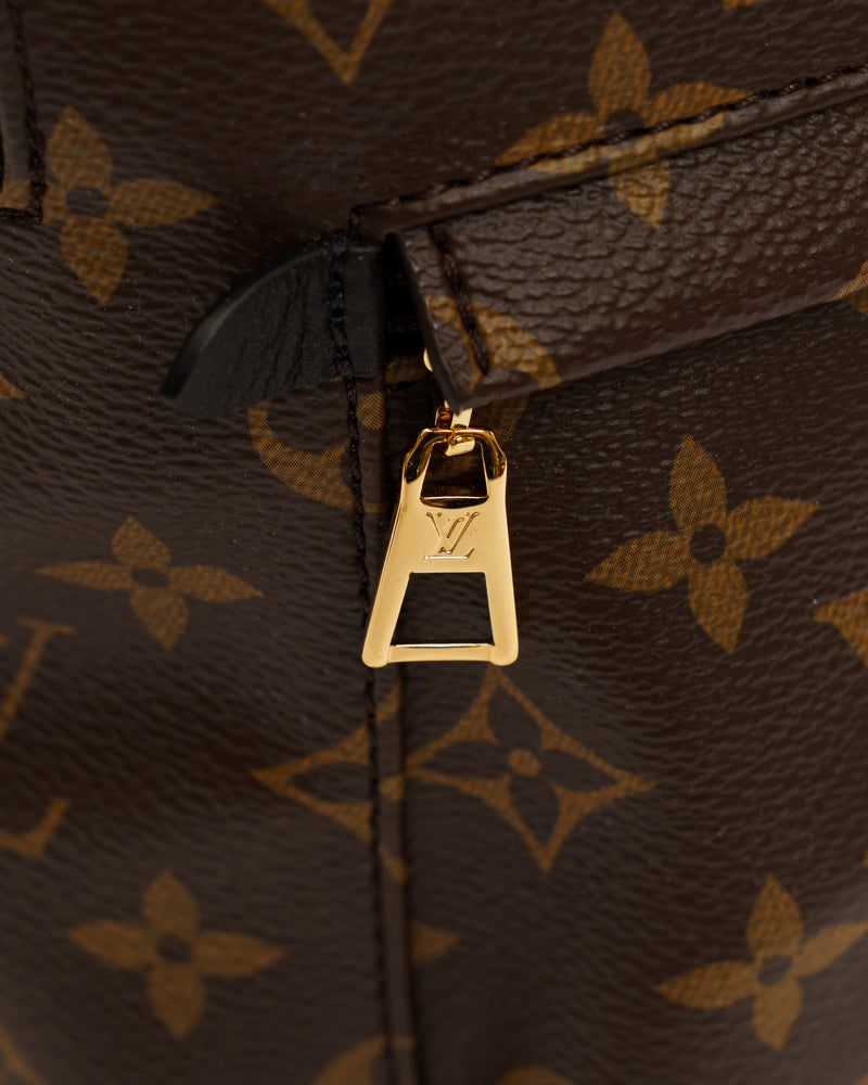 Louis Vuitton Palm Springs Mini Backpack, monogram thumbnail