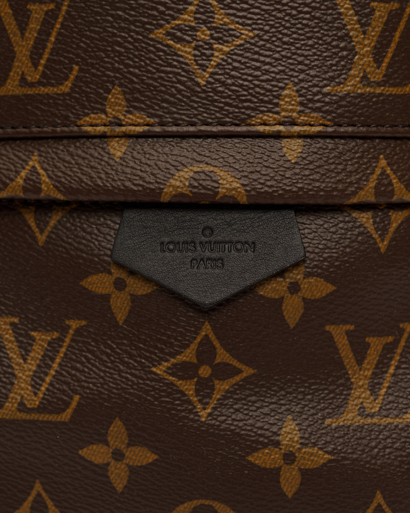 Louis Vuitton Palm Springs Mini Backpack, monogram thumbnail
