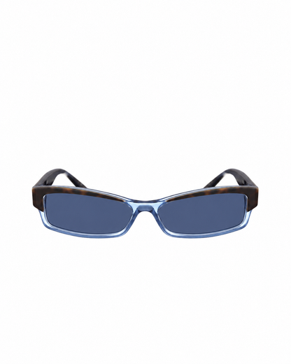 Dior SS2010 Black and Blue Plastic Glasses