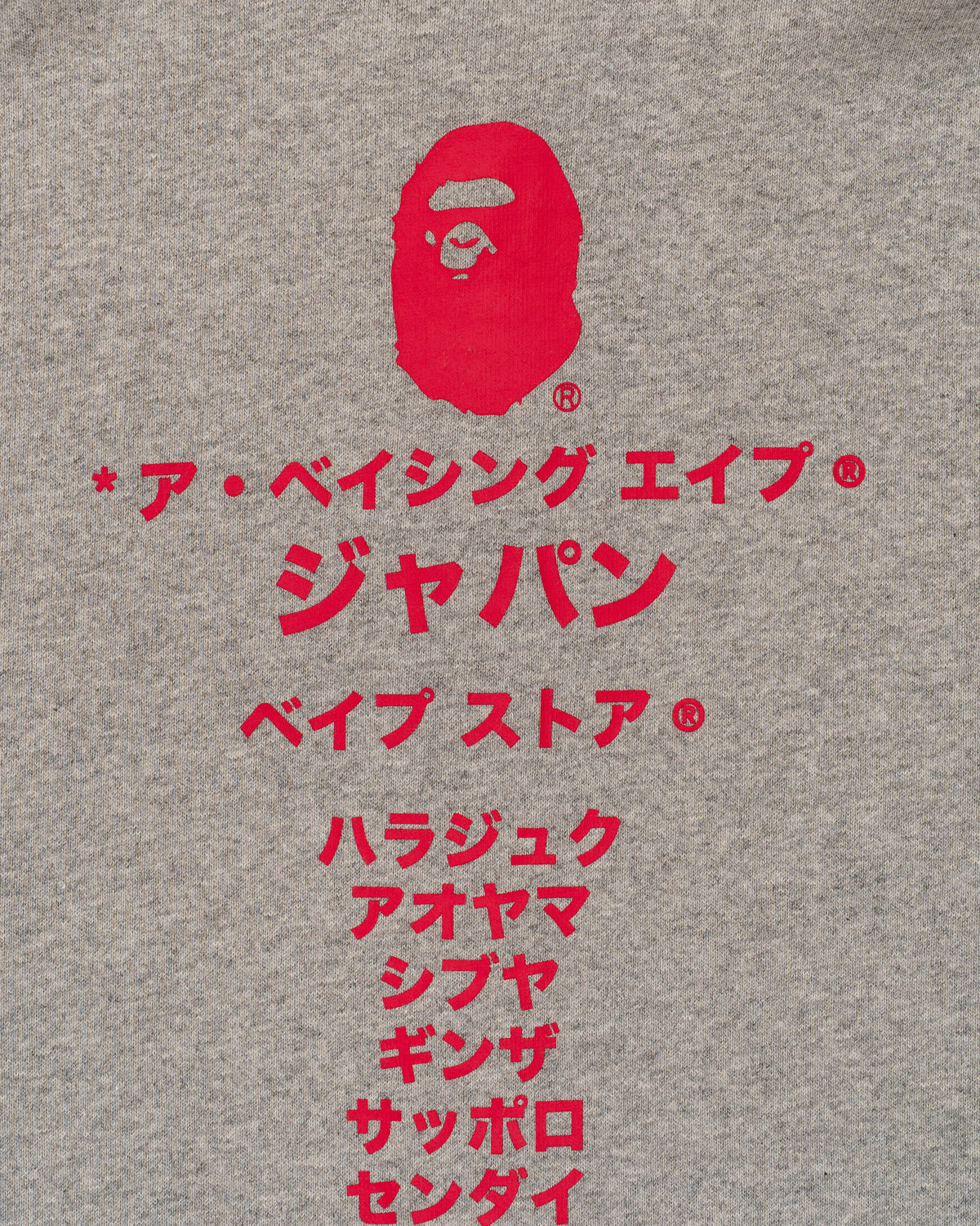 BAPE Katakana College Zip Hoodie