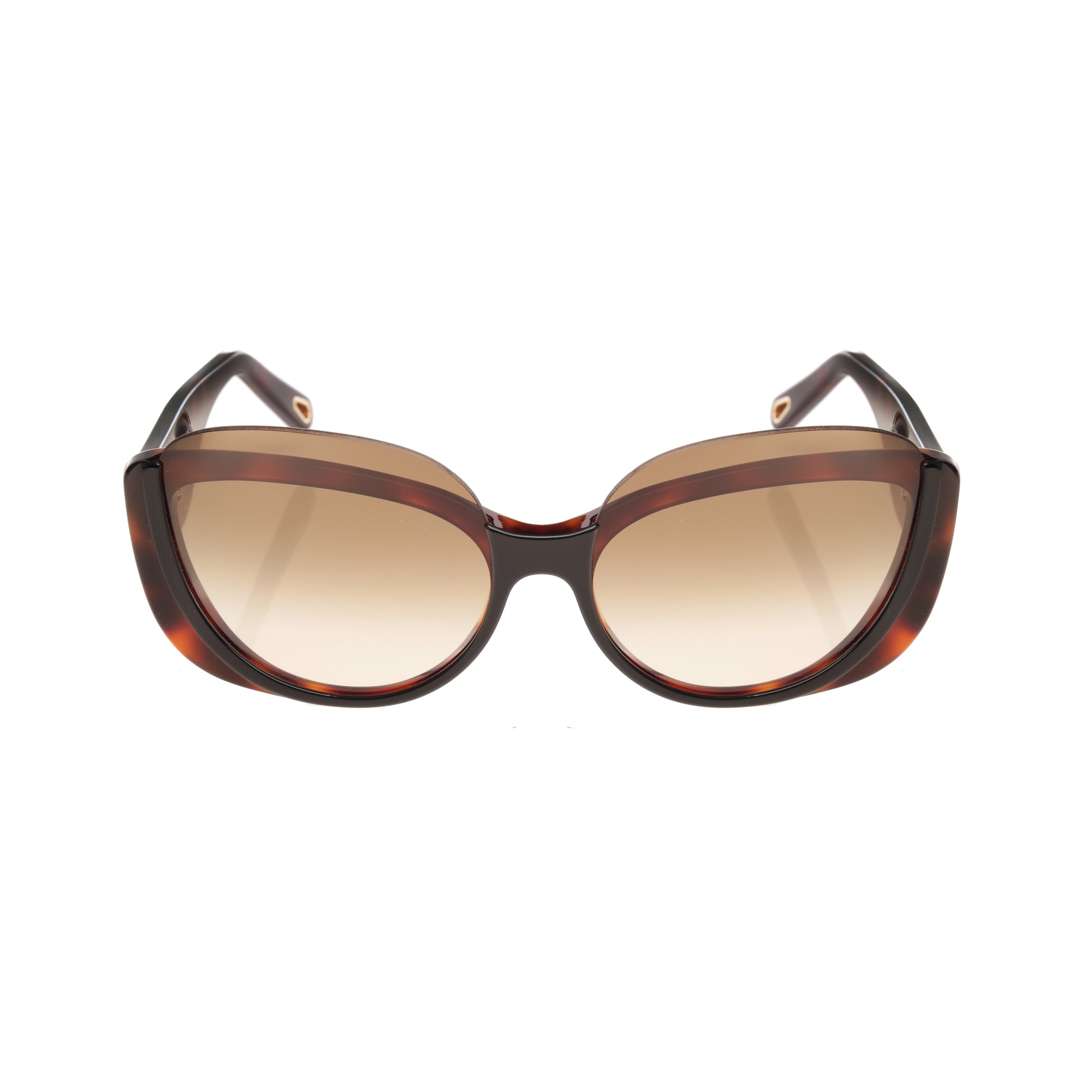 Chloe Cayla Havana Brown Sunglasses