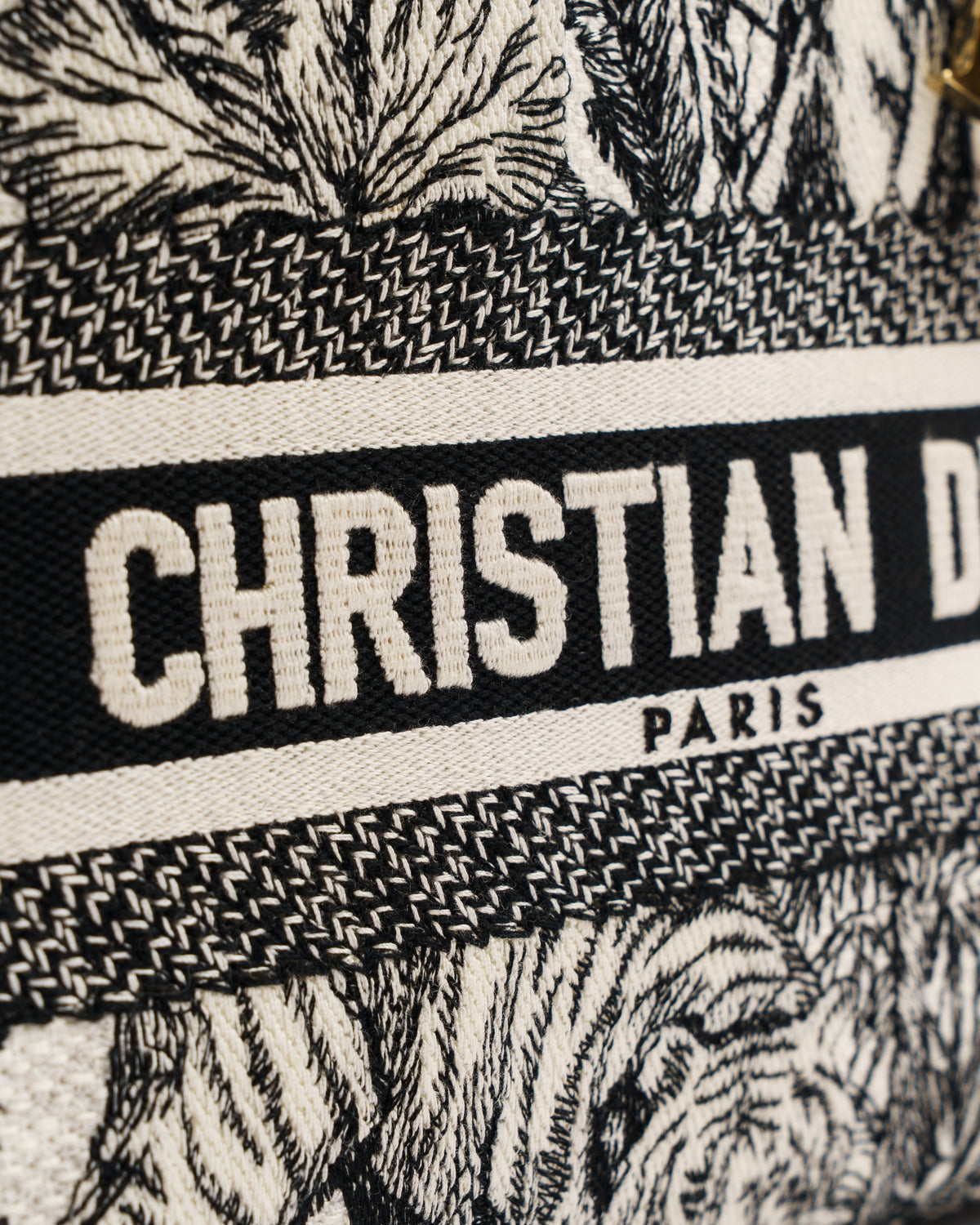 Christian Dior Lady D-Lite Canvas Bag