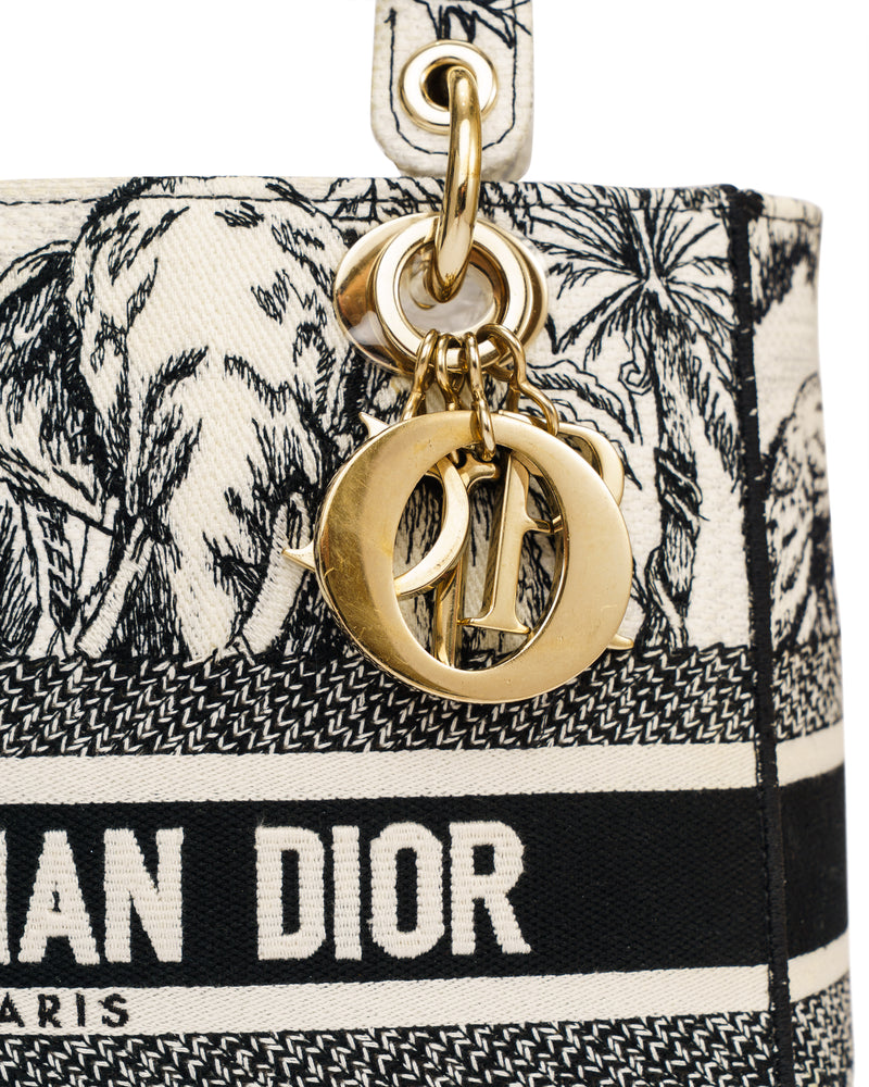 Christian Dior Lady D-Lite Canvas Bag thumbnail