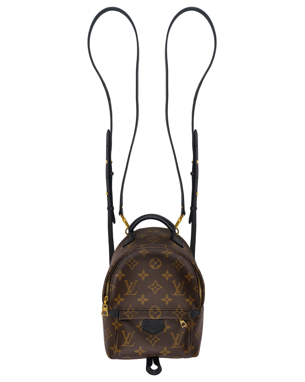 Louis Vuitton Palm Springs Mini