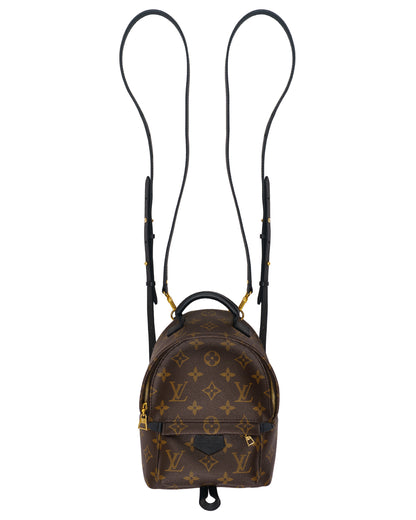 Louis Vuitton Palm Springs Mini