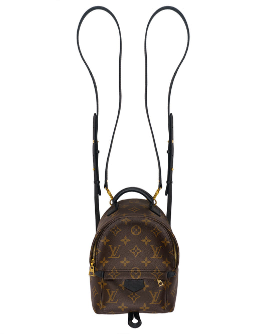Louis Vuitton Palm Springs Mini