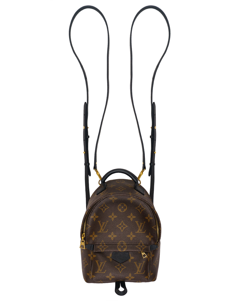 Louis Vuitton Palm Springs Mini