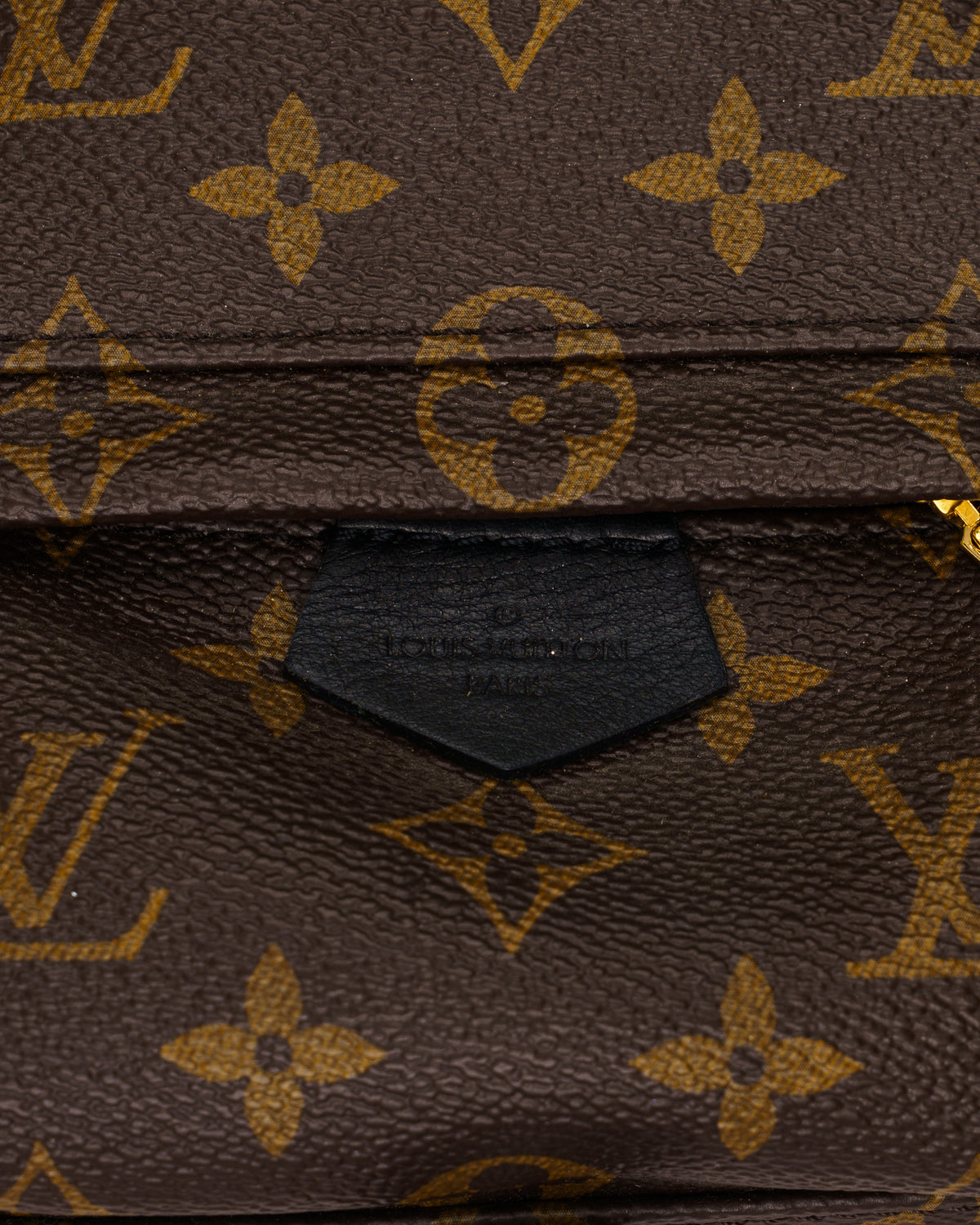 Louis Vuitton Palm Springs Mini