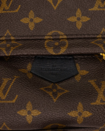 Louis Vuitton Palm Springs Mini