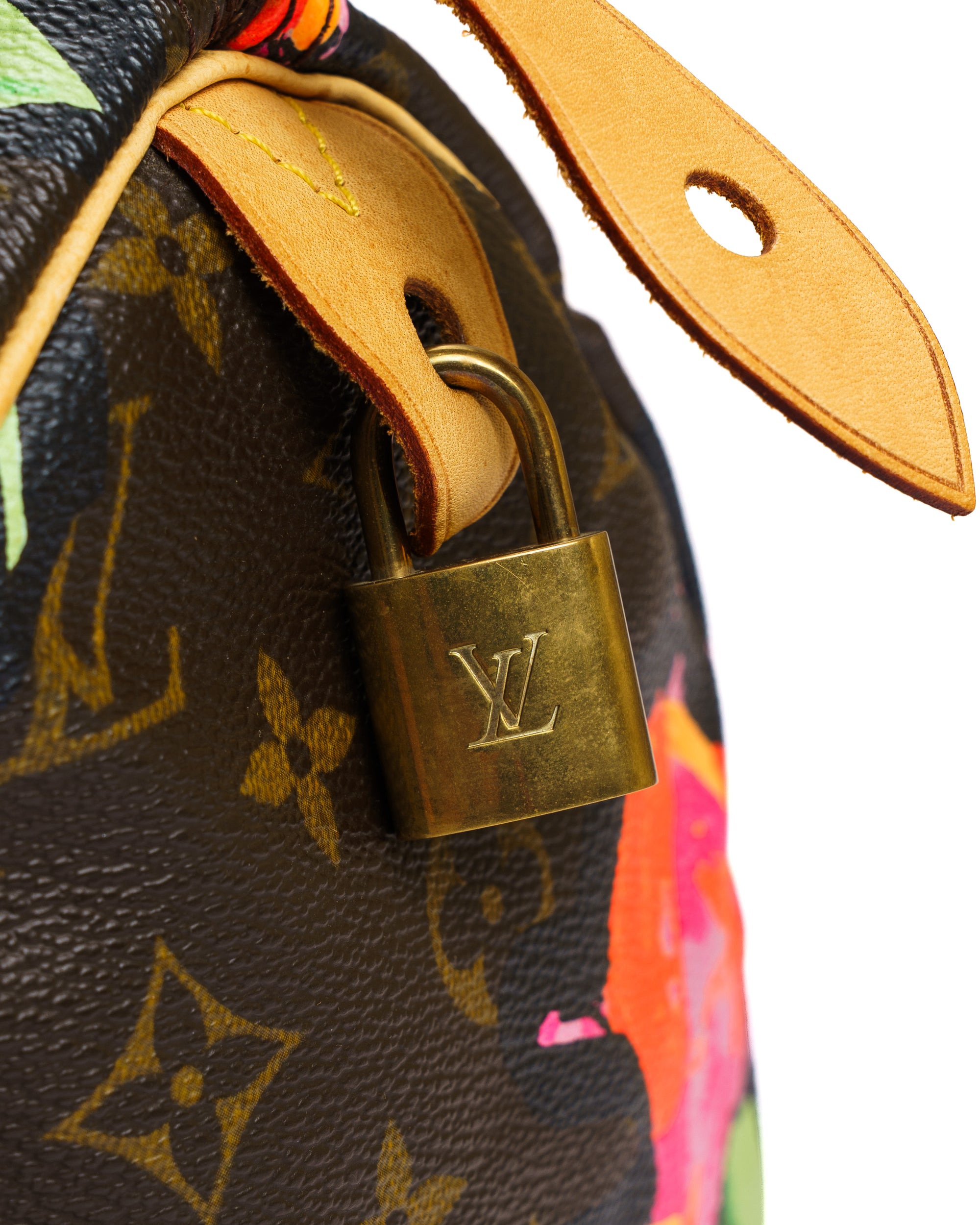 Louis Vuitton Stephen Sprouse Monogram Roses Speedy 30