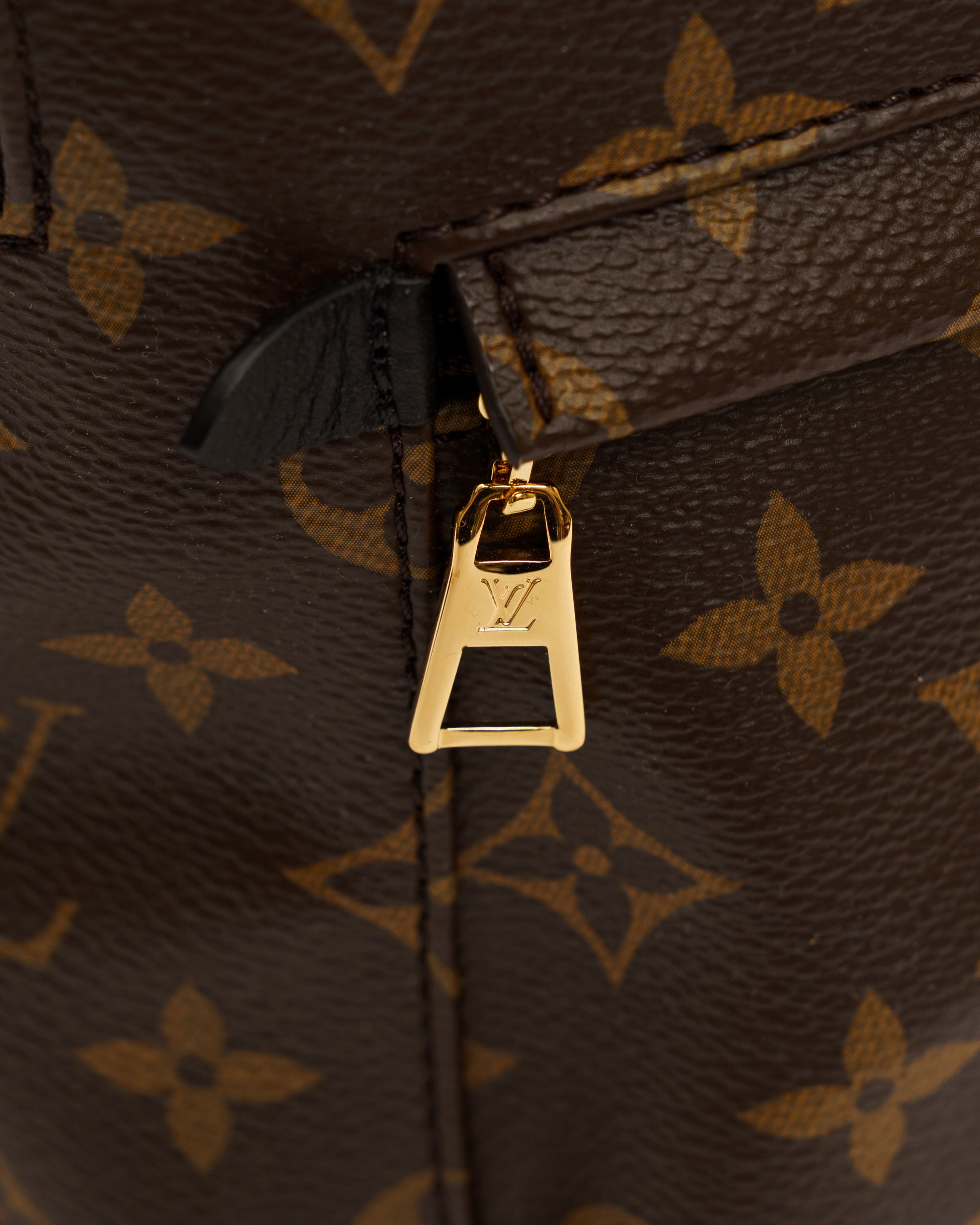 Louis Vuitton Palm Springs Mini Backpack, monogram