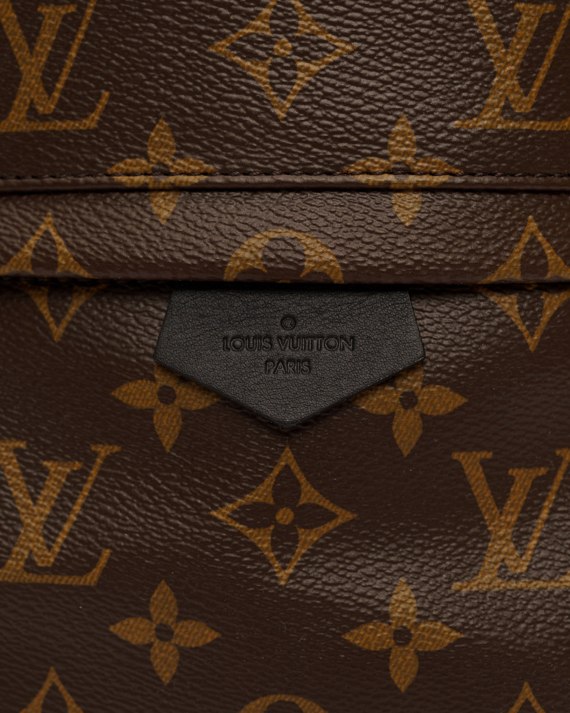 Louis Vuitton Palm Springs Mini Backpack, monogram