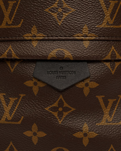 Louis Vuitton Palm Springs Mini Backpack, monogram
