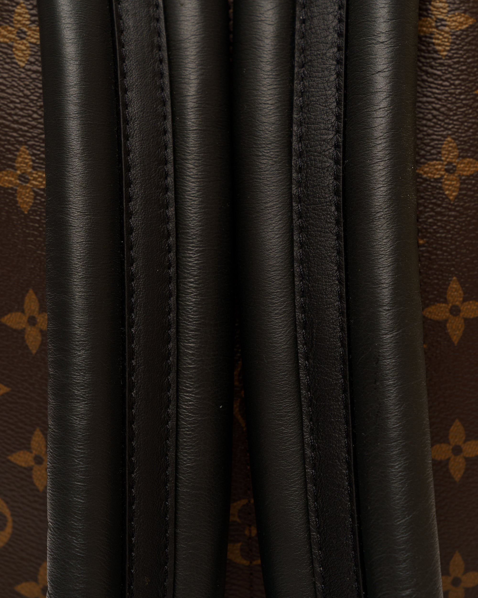 Louis Vuitton Palm Springs Mini Backpack, monogram