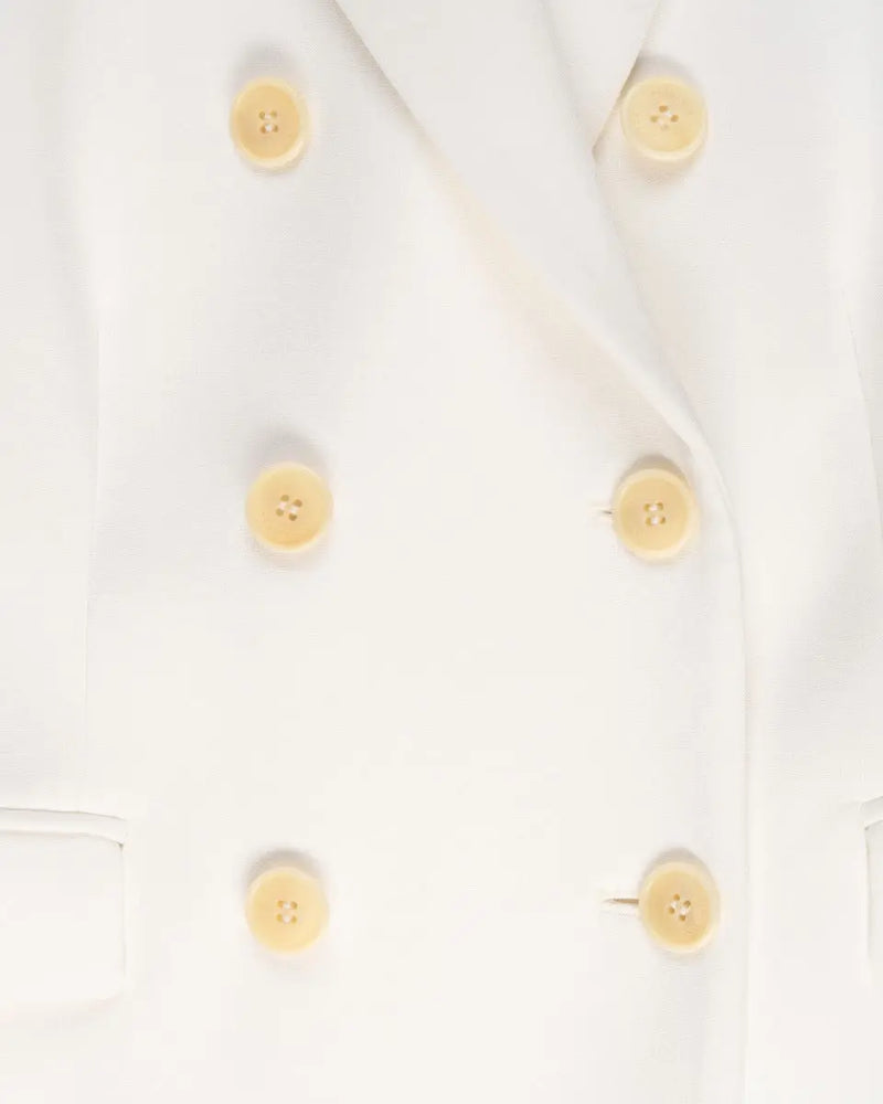 Altuzarra Indiana Optic White double-breasted blazer jacket & Todd Optic White pants thumbnail
