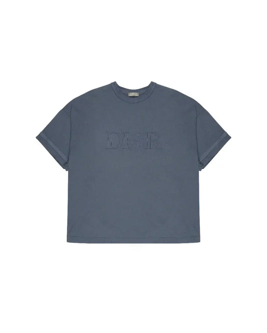 Dior x Stone Island oversized compass logo graish blue t-shirt Dior