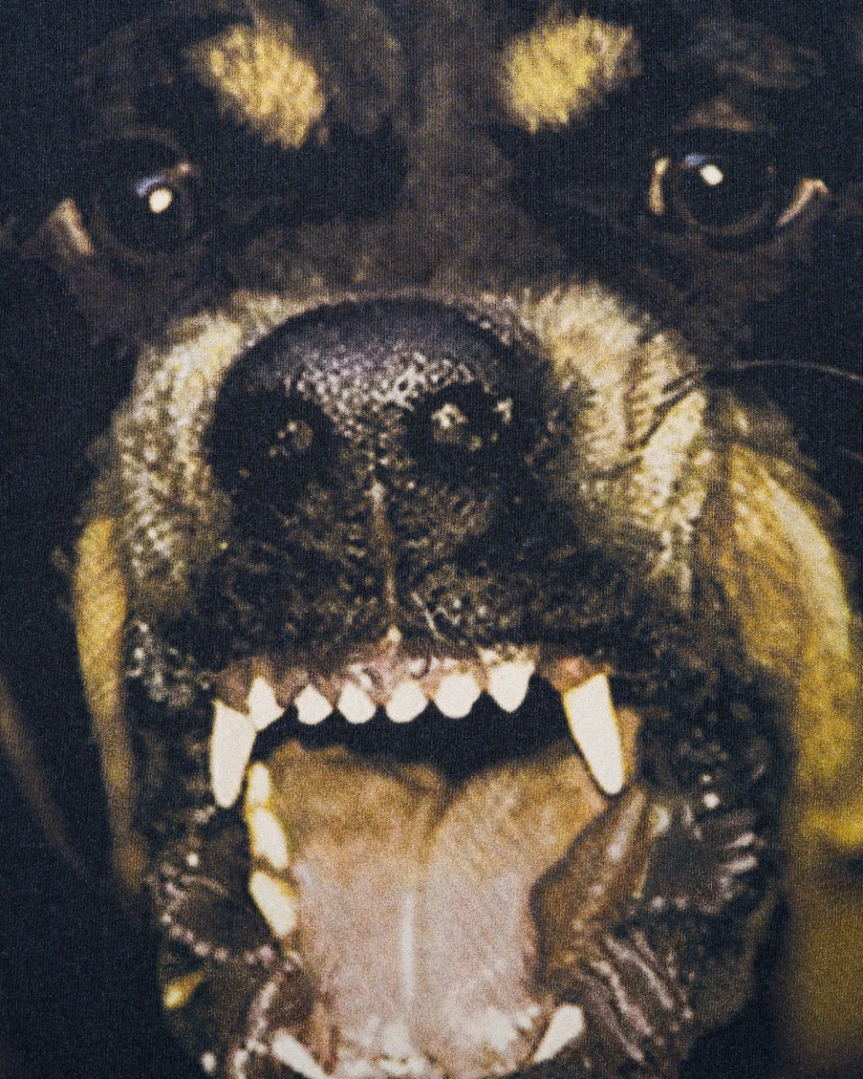 Givenchy Rottweiler printed navy t-shirt