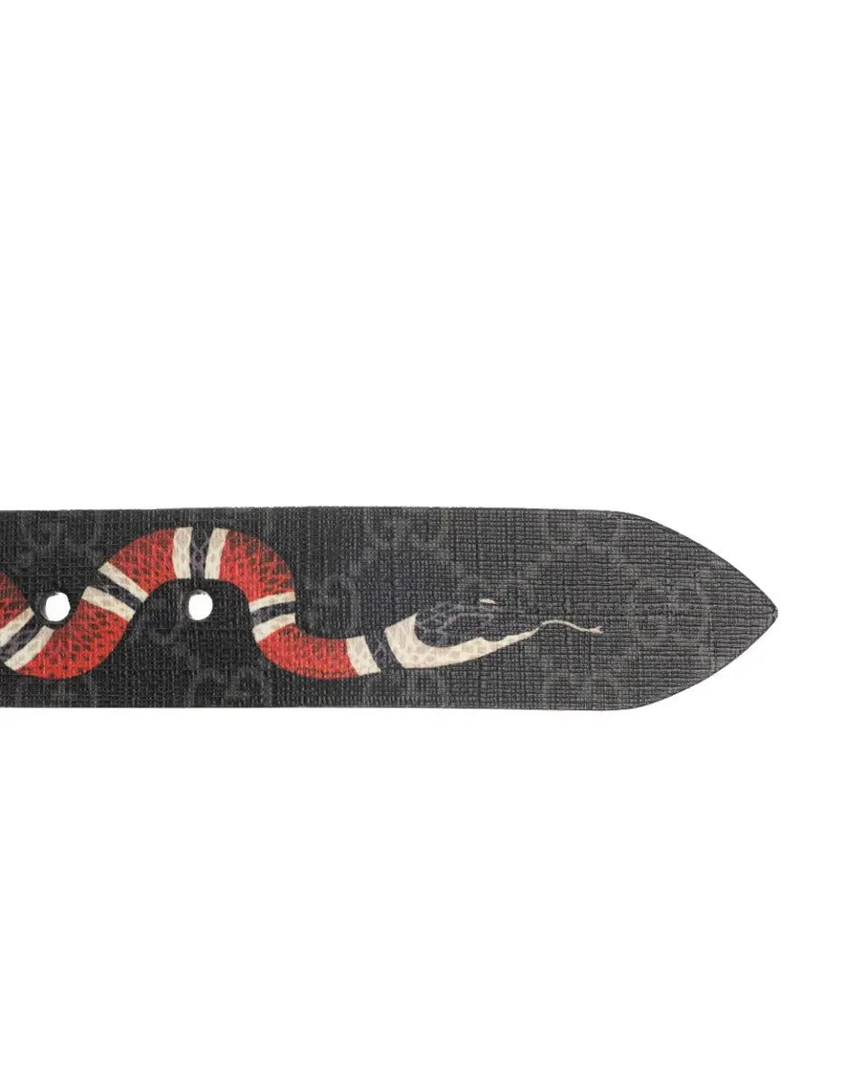 Gucci Kingsnake black belt