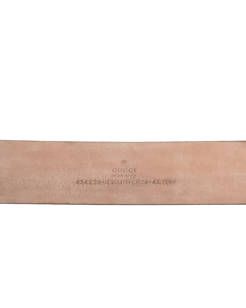 Gucci Kingsnake black belt