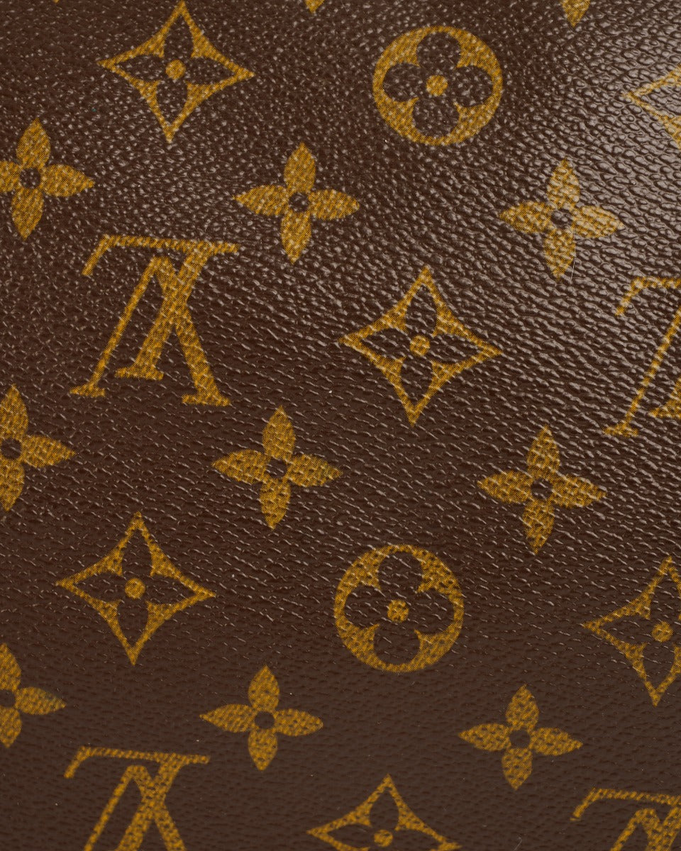 Louis Vuitton Speedy 30 monogram bag