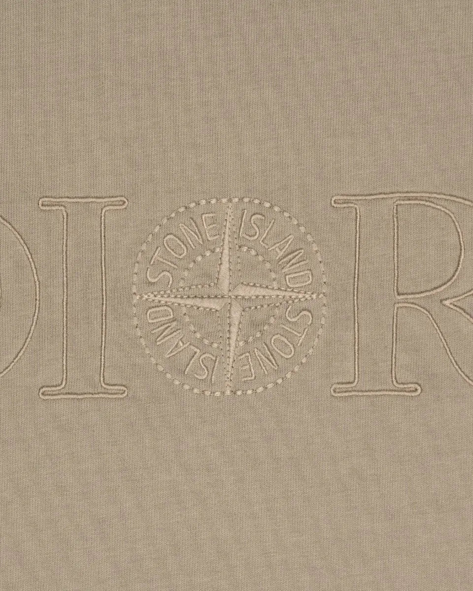 Dior x Stone Island oversized compass logo dust t-shirt