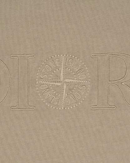 Dior x Stone Island oversized compass logo dust t-shirt Dior